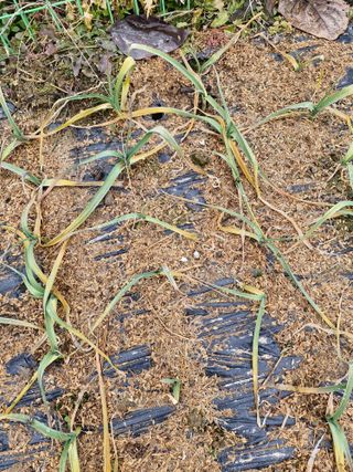 종이박님의 자유주제 · 자유게시판 작성글 사진