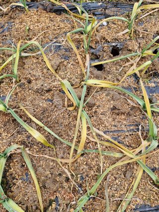 종이박님의 자유주제 · 자유게시판 작성글 사진