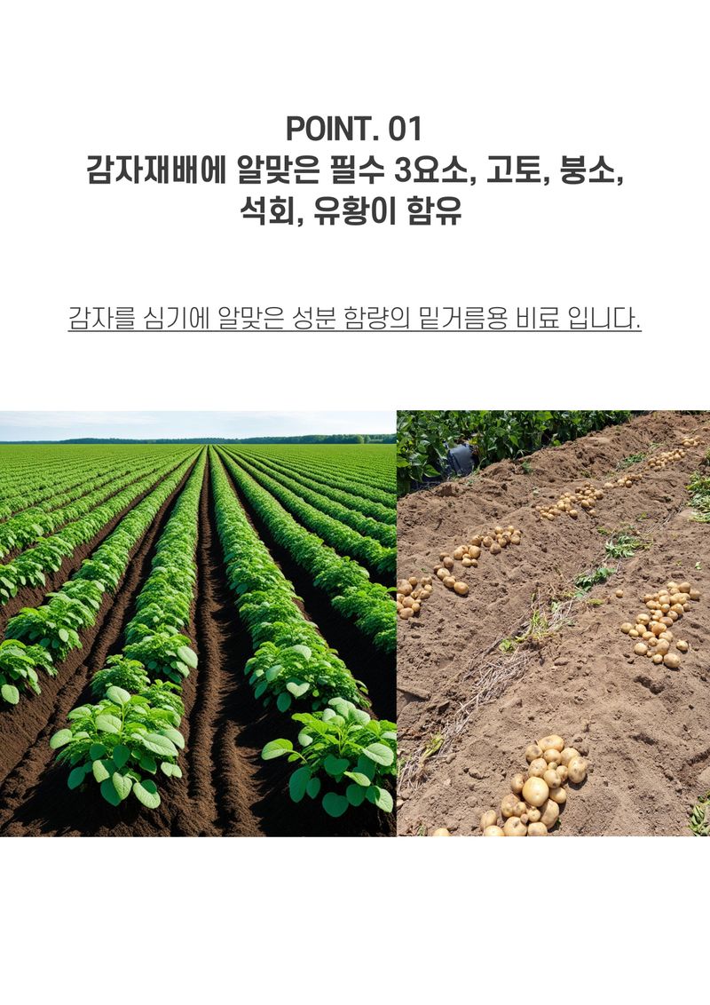 신탄진농약비료마트님의 장터 판매 상품 [감자비료 풍농 왕왕감자20kg 질소 인산 가리 붕소 고토 황산칼륨 유황 석회 함유] 첨부 사진