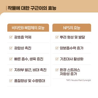 누보농장님의 자유주제 · 자유게시판 작성글 사진