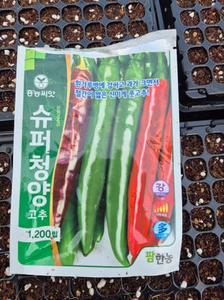 병풍취산채농원님의 자유주제 · 자유게시판 작성글 사진