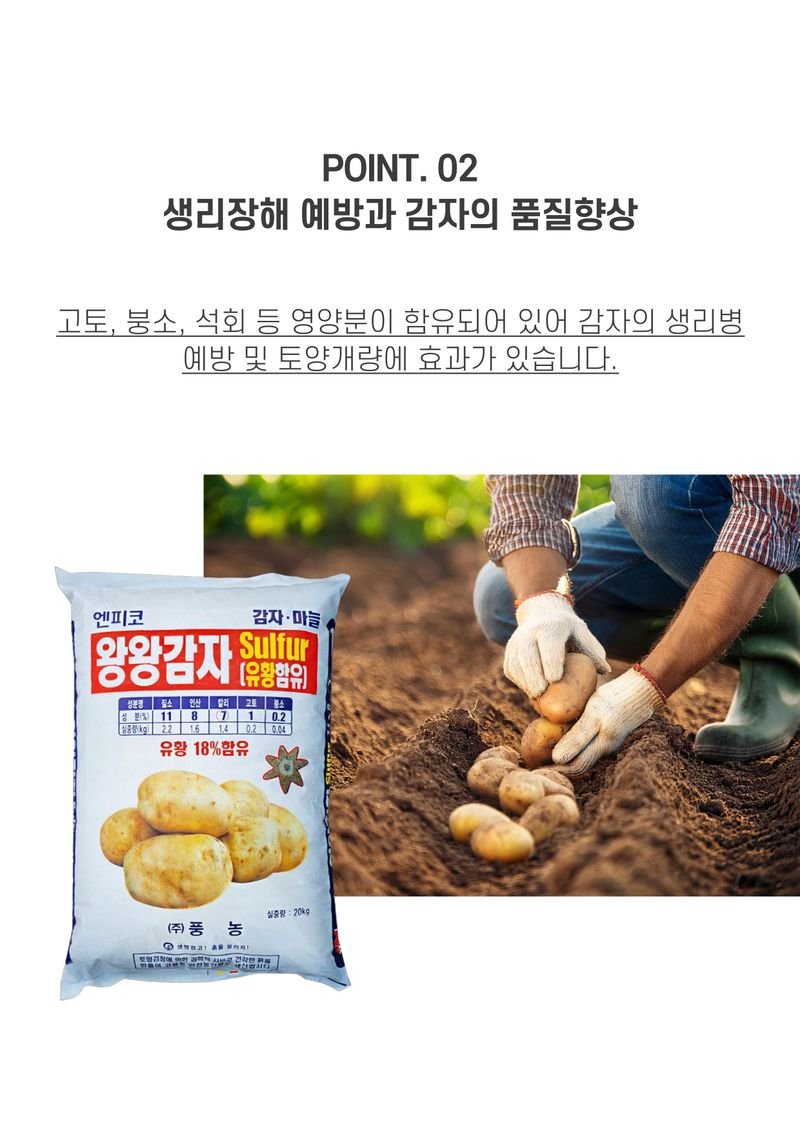 신탄진농약비료마트님의 장터 판매 상품 [감자비료 풍농 왕왕감자20kg 질소 인산 가리 붕소 고토 황산칼륨 유황 석회 함유] 첨부 사진