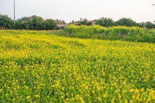 울금박사/빈덕열목사님의 자유주제 · 자유게시판 작성글 사진