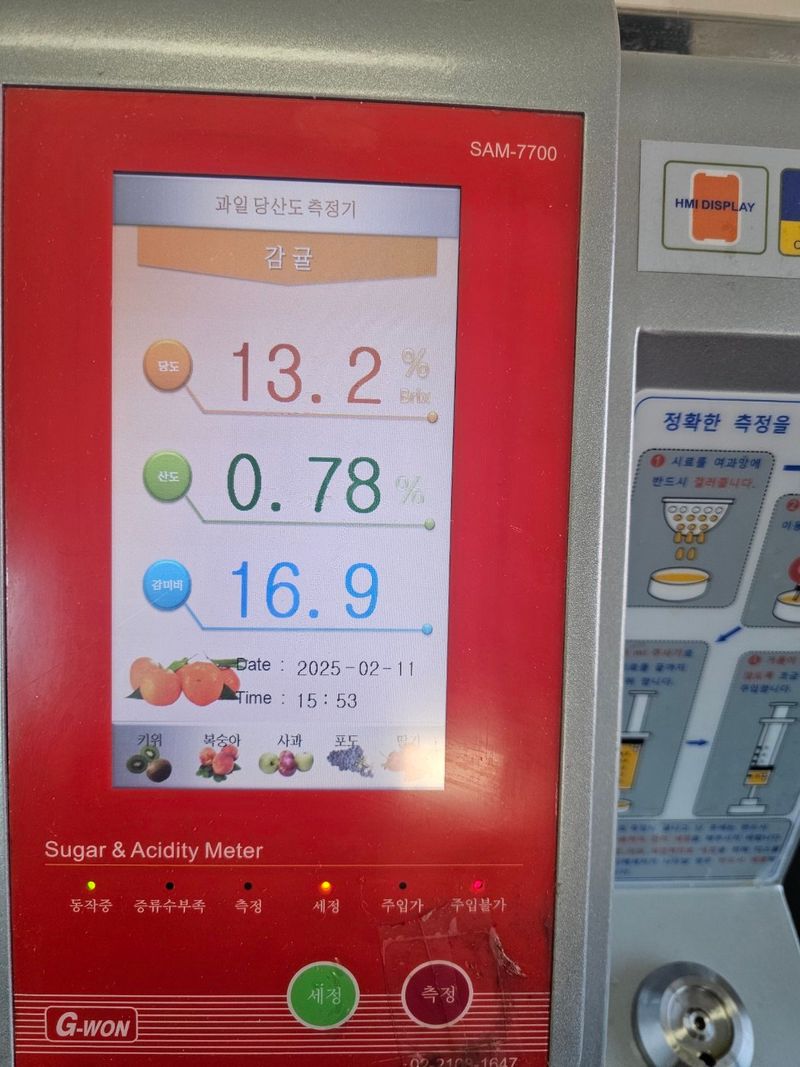 새달귤농장님의 장터 판매 상품 [(특가할인) 노지한라봉 4.5키로] 첨부 사진