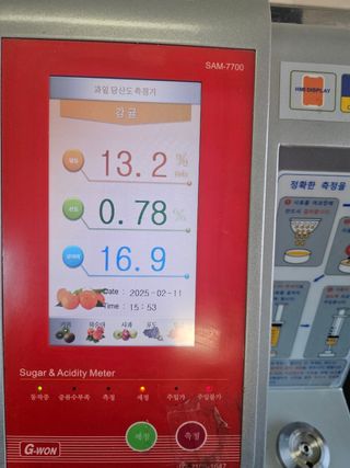 새달귤농장님의 작성글 사진