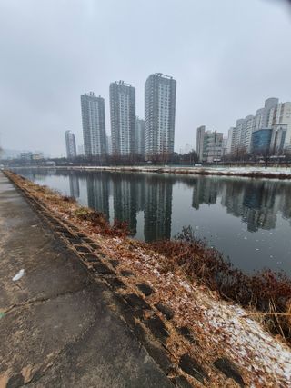 허굴산농장님의 자유주제 · 자유게시판 작성글 사진