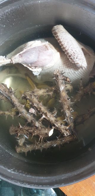 토마토아부지왕궁면님의 자유주제 · 자유게시판 작성글 사진