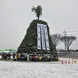 팜모닝 자유주제·자유게시판 게시글 이미지