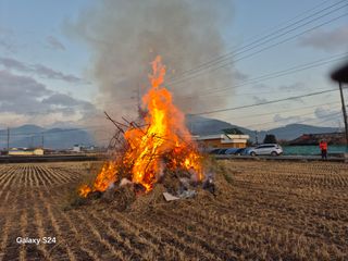 사천시향촌동 돼지띠님의 자유주제 · 자유게시판 작성글 사진