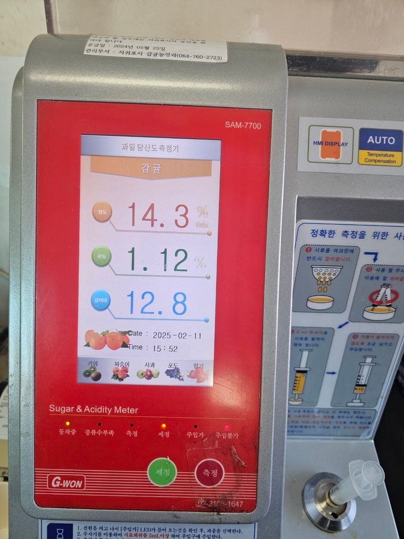 새달귤농장님의 장터 판매 상품 [(특가할인) 노지한라봉 4.5키로] 첨부 사진