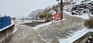 달맛햇복숭아농원님의 자유주제 · 자유게시판 작성글 사진