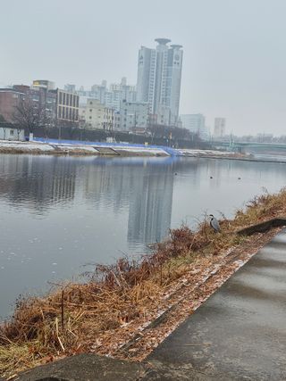 허굴산농장님의 자유주제 · 자유게시판 작성글 사진