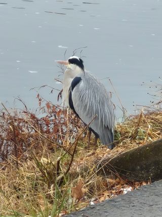 허굴산농장님의 자유주제 · 자유게시판 작성글 사진
