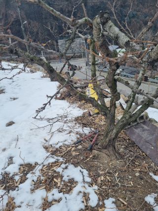 김용대님의 자유주제 · 자유게시판 작성글 사진