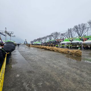 원이농원님의 자유주제 · 자유게시판 작성글 사진