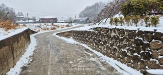 달맛햇복숭아농원님의 자유주제 · 자유게시판 작성글 사진