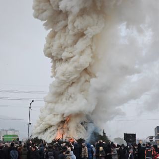원이농원님의 자유주제 · 자유게시판 작성글 사진
