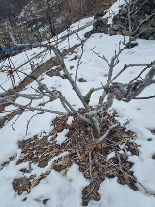 김용대님의 자유주제 · 자유게시판 작성글 사진