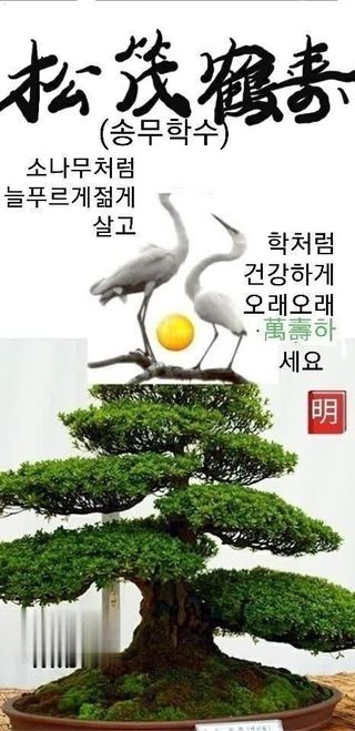 최재만님의 자유주제 · 자유게시판 작성글 사진