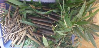 토마토아부지왕궁면님의 자유주제 · 자유게시판 작성글 사진