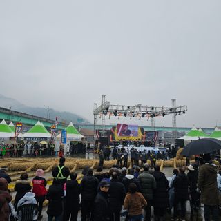 원이농원님의 자유주제 · 자유게시판 작성글 사진