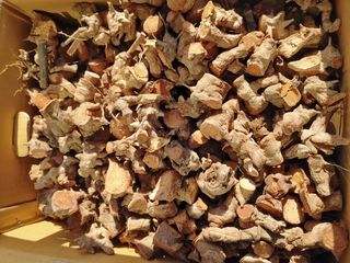 이현상님의 자유주제 · 자유게시판 작성글 사진