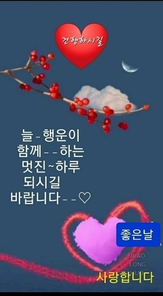 최재만님의 작성글 사진