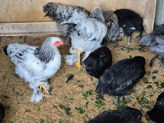 천운산님의 자유주제 · 자유게시판 작성글 사진