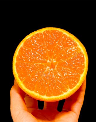 농부손녀님의 작성글 사진