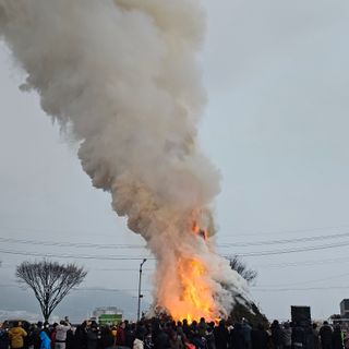원이농원님의 자유주제 · 자유게시판 작성글 사진