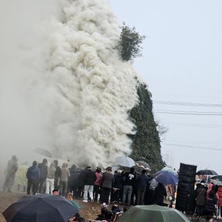 원이농원님의 자유주제 · 자유게시판 작성글 사진