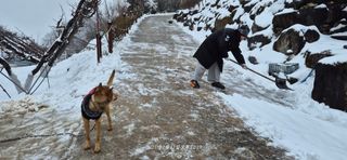 달맛햇복숭아농원님의 자유주제 · 자유게시판 작성글 사진