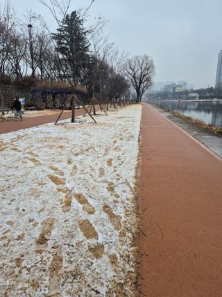 허굴산농장님의 자유주제 · 자유게시판 작성글 사진