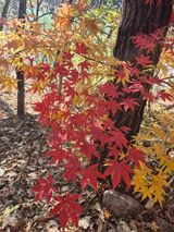 팜모닝 자유주제·건의해요 게시글 이미지