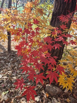 기중권님의 자유주제 · 건의해요 작성글 사진