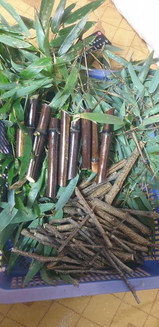 토마토아부지왕궁면님의 자유주제 · 자유게시판 작성글 사진