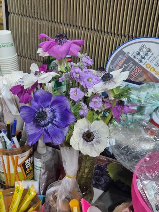 준영농장 출석왕.님의 자유주제 · 사진전 작성글 사진