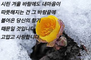 최재만님의 자유주제 · 자유게시판 작성글 사진