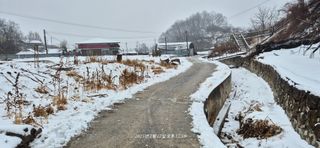 달맛햇복숭아농원님의 자유주제 · 자유게시판 작성글 사진