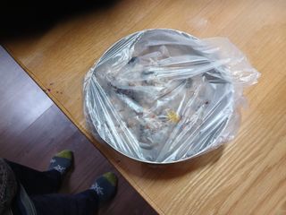 알 수 없음님의 자유주제 · 자유게시판 작성글 사진