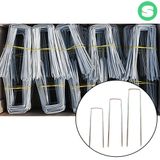 팜모닝 · 게시글 이미지