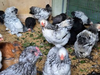 천운산님의 자유주제 · 자유게시판 작성글 사진