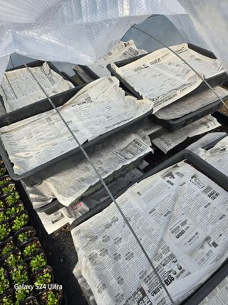 약초원 김종군님의 자유주제 · 자유게시판 작성글 사진