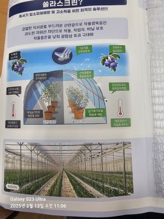 마로니에농원님의 자유주제 · 자유게시판 작성글 사진