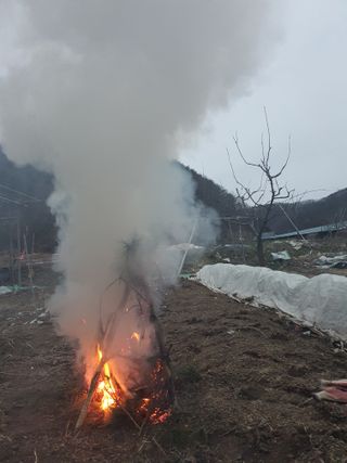 무상(無常)님의 정월대보름 음식 추천해요 · 참여글 작성글 사진