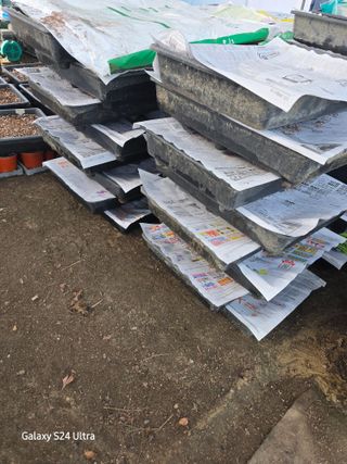 약초원 김종군님의 자유주제 · 자유게시판 작성글 사진