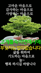 팜모닝 · 게시글 이미지