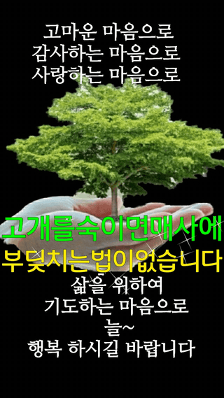 상도님의 작성글 사진
