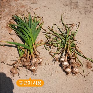 누보농장님의 자유주제 · 자유게시판 작성글 사진