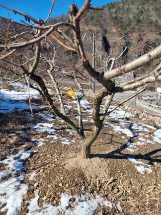 김용대님의 자유주제 · 자유게시판 작성글 사진